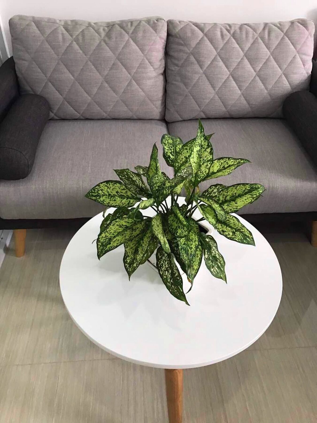 Smile Apartment 10 Ho Şi Min Dış mekan fotoğraf